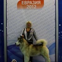 Евразия 2012г.